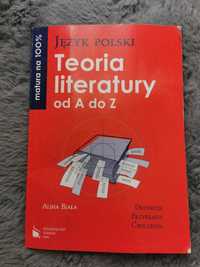 Teoria literatury od A do Z, matura na 100%, język polski