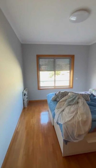 serviços de pintura e pladdur