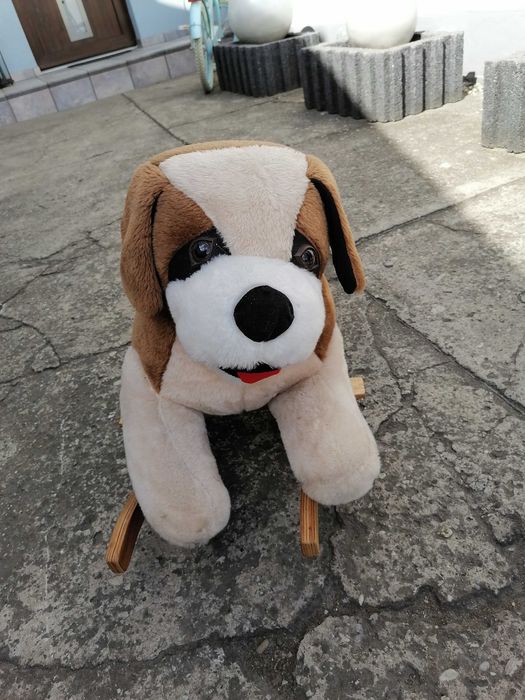 Pies na biegunach- bujak