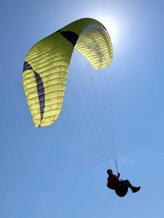 SKY COUNTRY Mascot - parakite wing