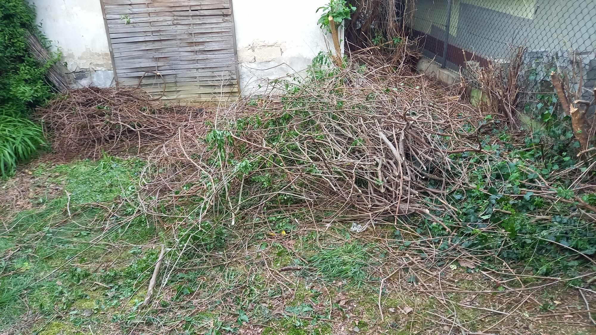 Gałęzie odcięte z drzew i krzewów. Biomasa na zrębki.