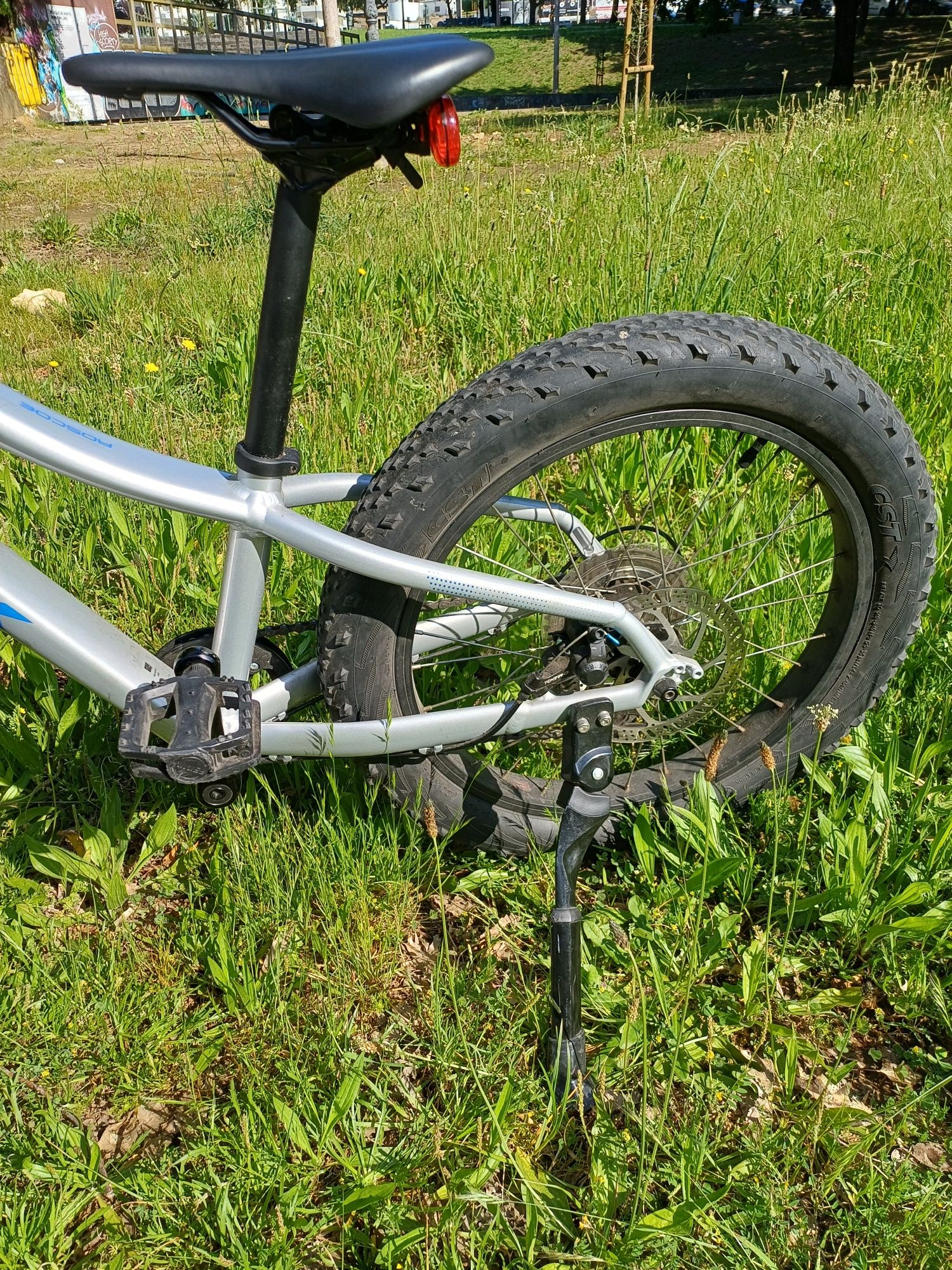 Trek Roscoe 20" Prata e Azul