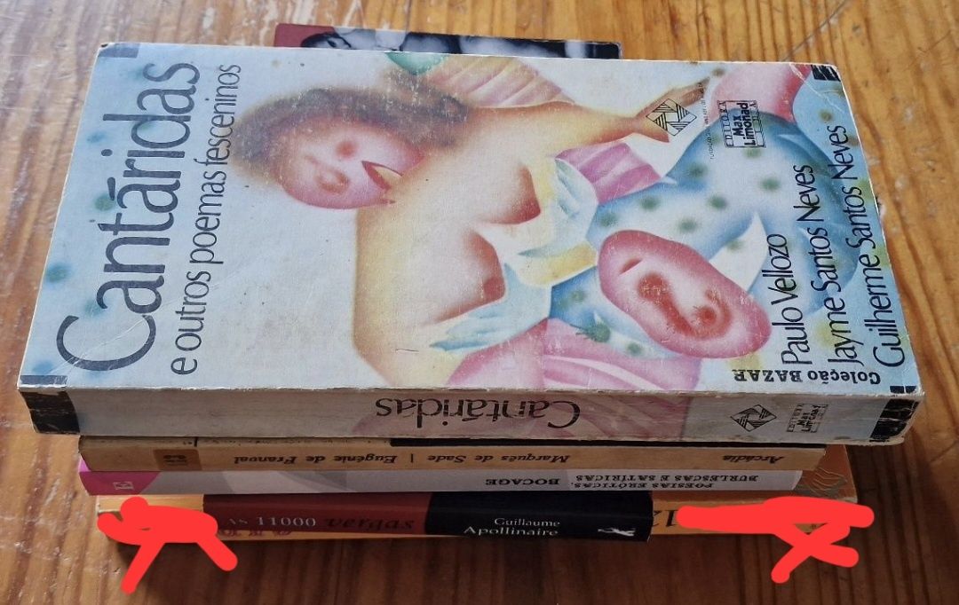 Livros de Marquês de Sade, Apollinaire, Bocage e Velloz "Cantáritas"