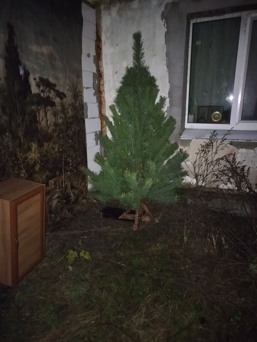 Новорічні ялинки