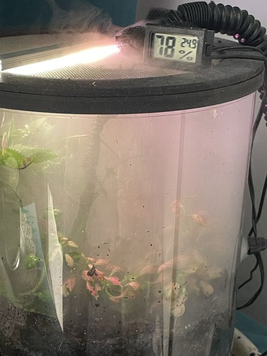Terrarium tuba bio aktywne 30/20