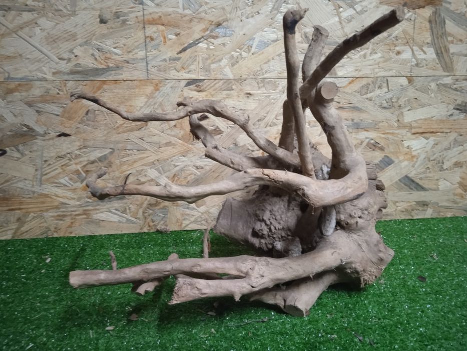 Korzeń do akwarium Red Moore Wood nr 726 o wymiarach 36/24/35