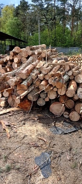 Drewno opałowe sosna