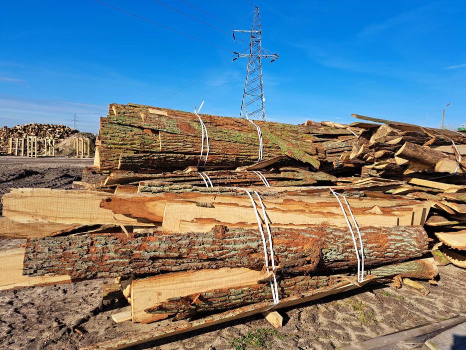 Drewno opałowe dębowe