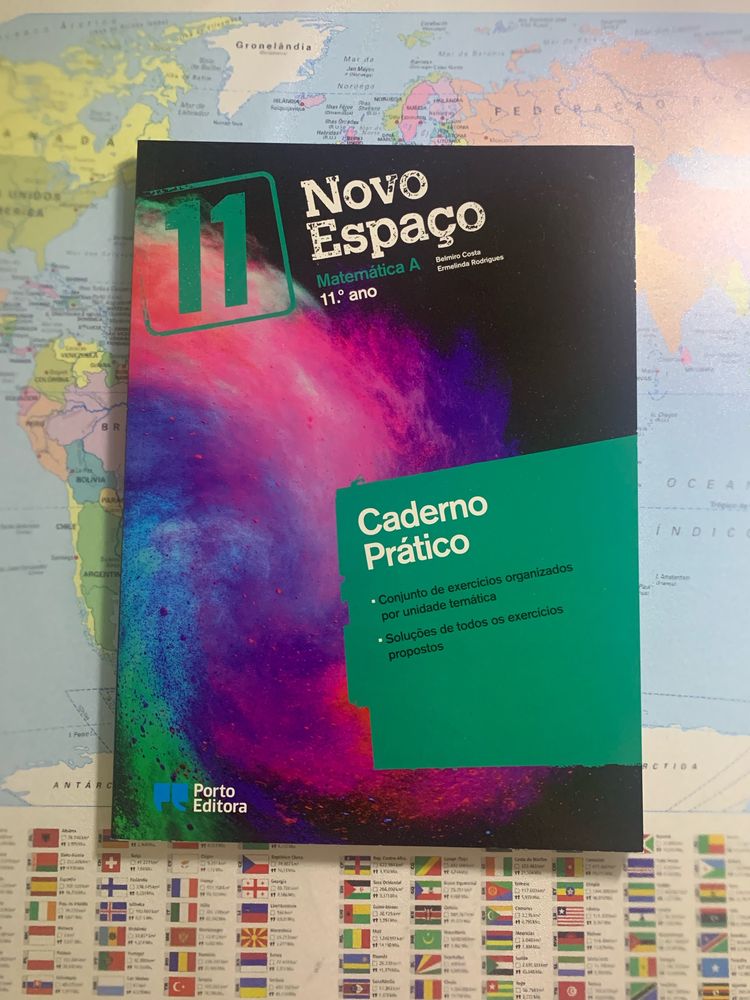 Novo Espaço 11° ano - Caderno de atividades