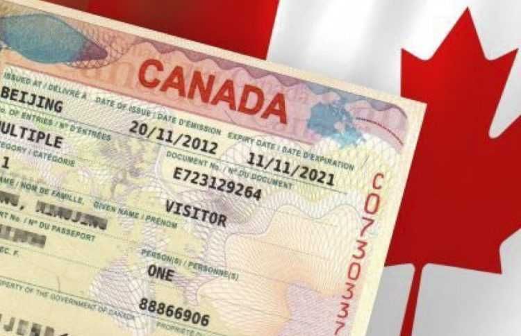 Віза в канаду з правом працювати. Виза Канада с правом работать.