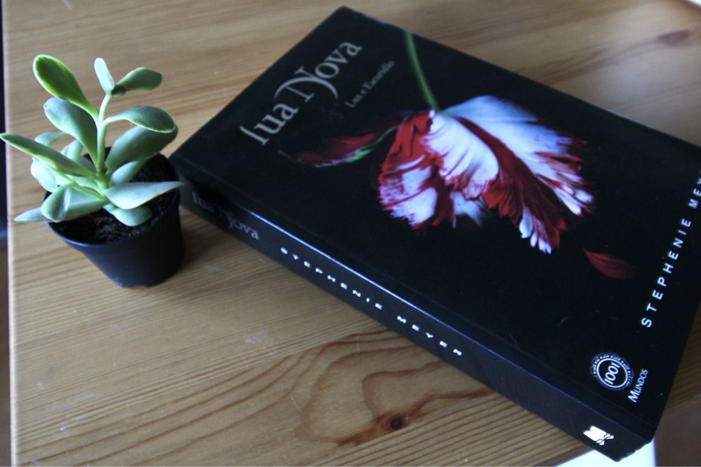 Livro "Lua Nova" - Stephenie Meyer