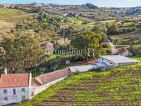 Quinta com vinha em zona demarcada