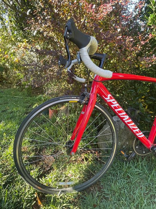 Specialized Langster seminova