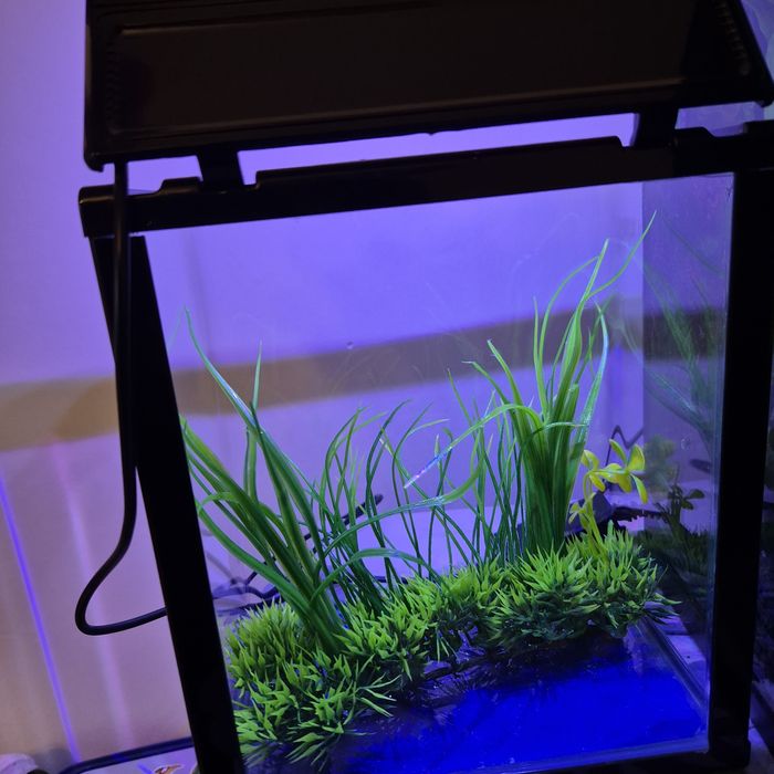 Akwarium 3l oświetlenie led