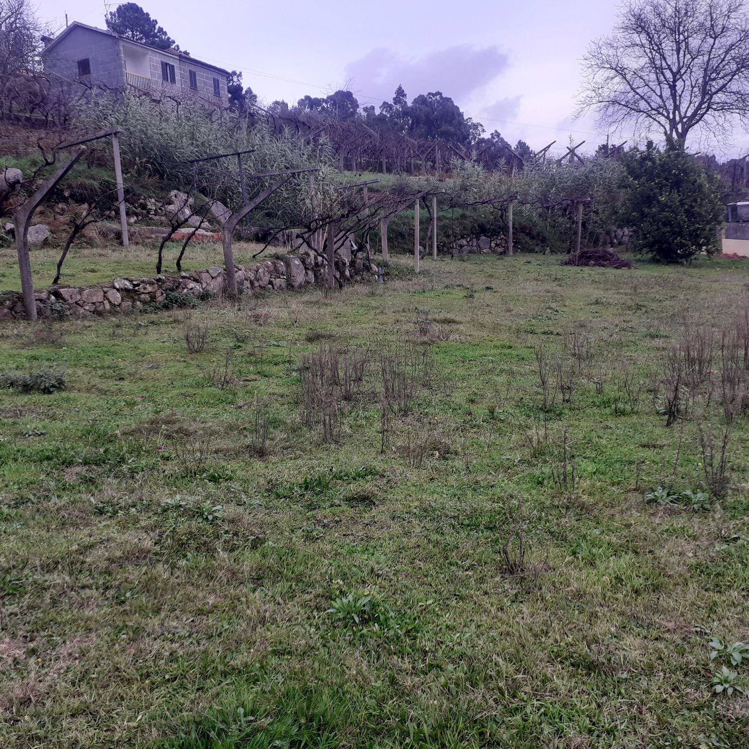 Terreno com 1300m2