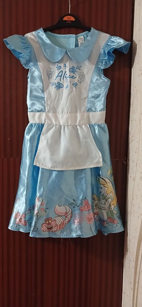 Платье Алисы,Золушки,горничной, Викторианской девочки,ведьмы