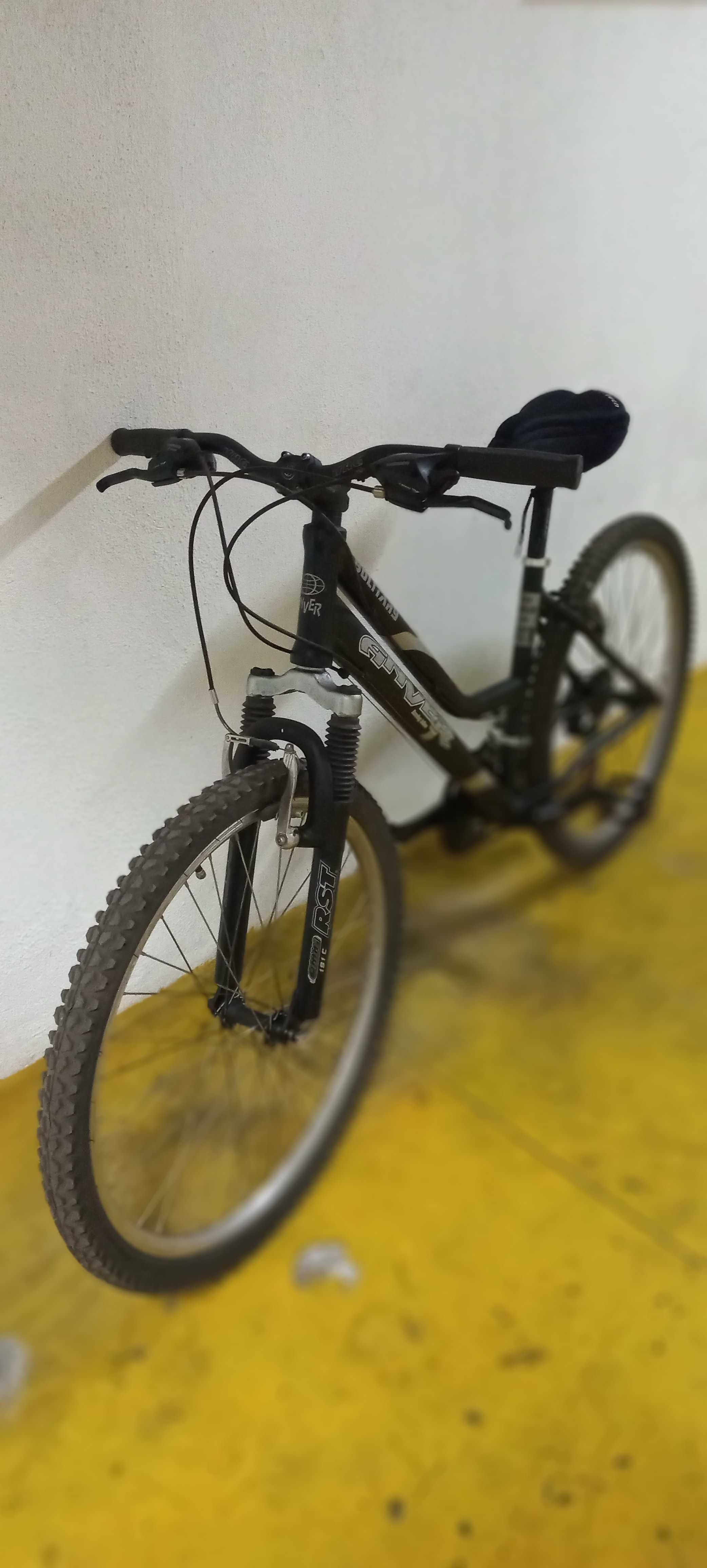 Bicicleta de senhora