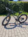 Rower Specialized RipRock 24