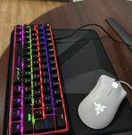 Teclado e mouse gamer