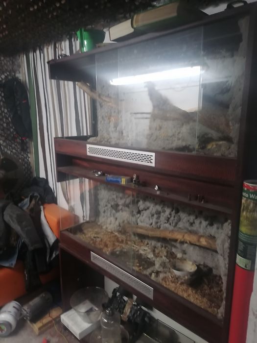 Terarium podwojne