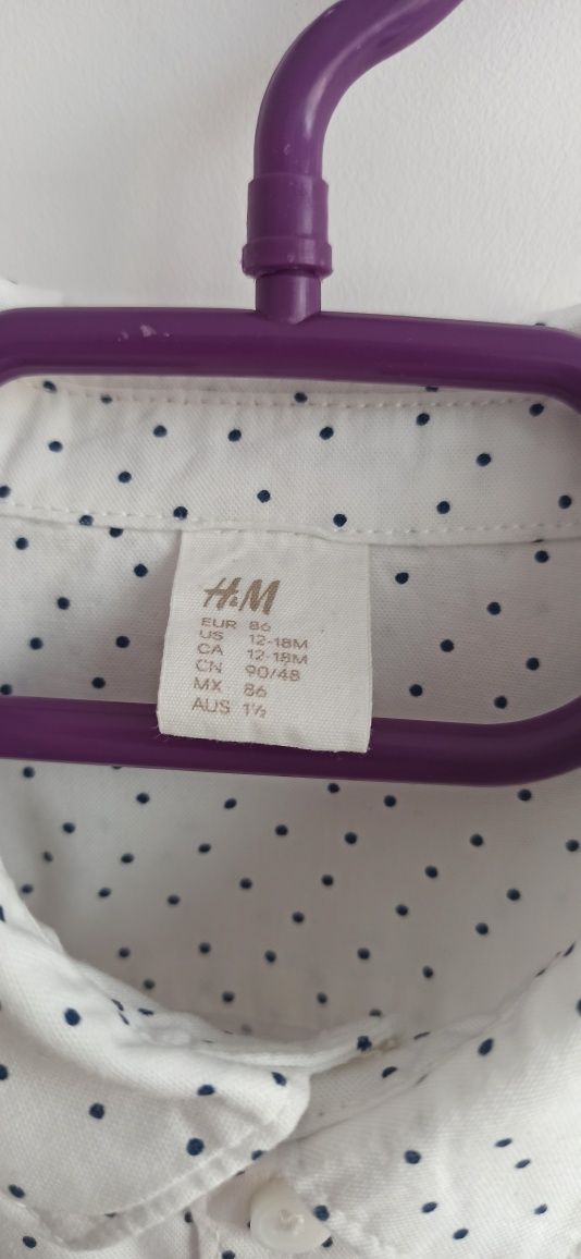 Koszula H&M 86 w kropki z krótkim rękawem dla chłopca