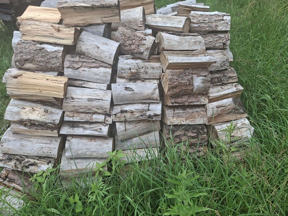 Najlepsze i najtańsze drzewo opalowe w okolicy