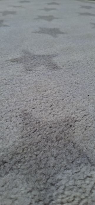 Tapete de sala pequeno