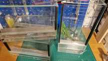 Terrarium 30x30x20 dwie sztuki, terra 40x20x20, caribena i dodatkowo..