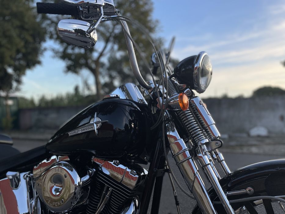 Harley softail springer