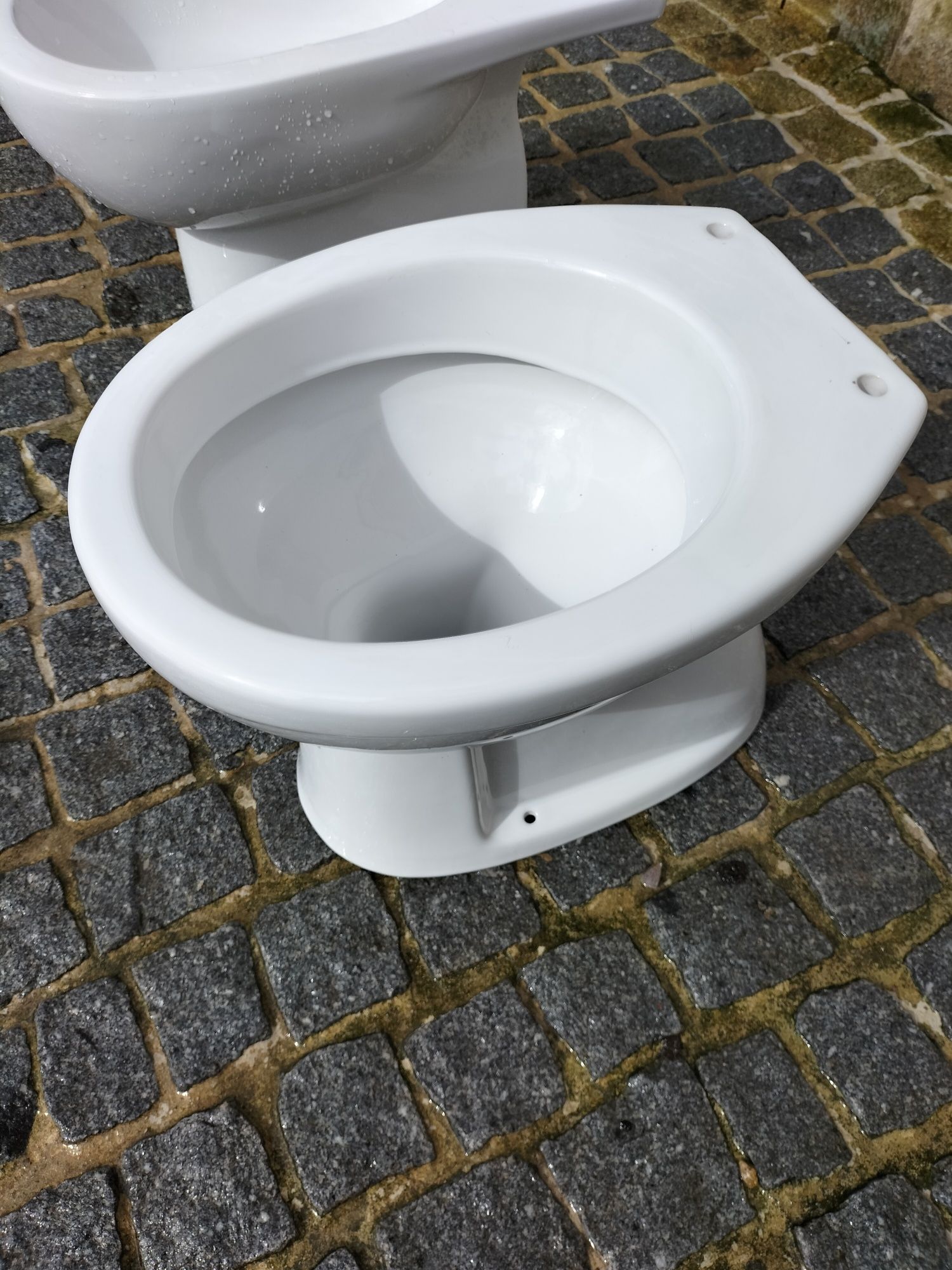 Sanita Sanitana nova