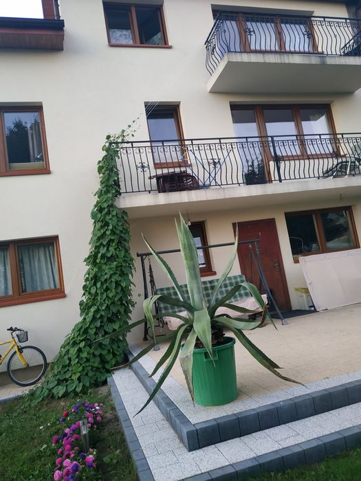 Kwatery pracownicze Mszczonów