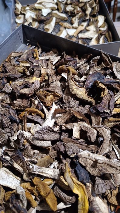 Гарбузове насіння, сухі гриби, мариновані гриби, капсули