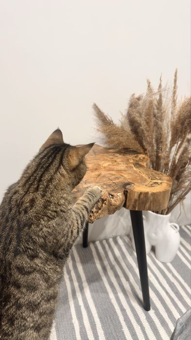 Стіл приліжковий (кавовий) із слебу