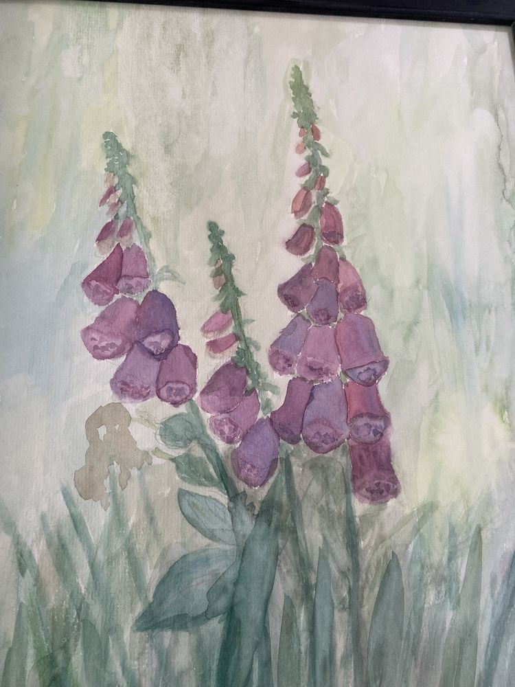 Naparstnice akwarela 30 x 40