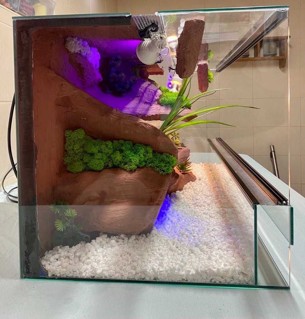 Nowe Terrarium 80x40x40 Gekon Lamparci, Jaszczurka