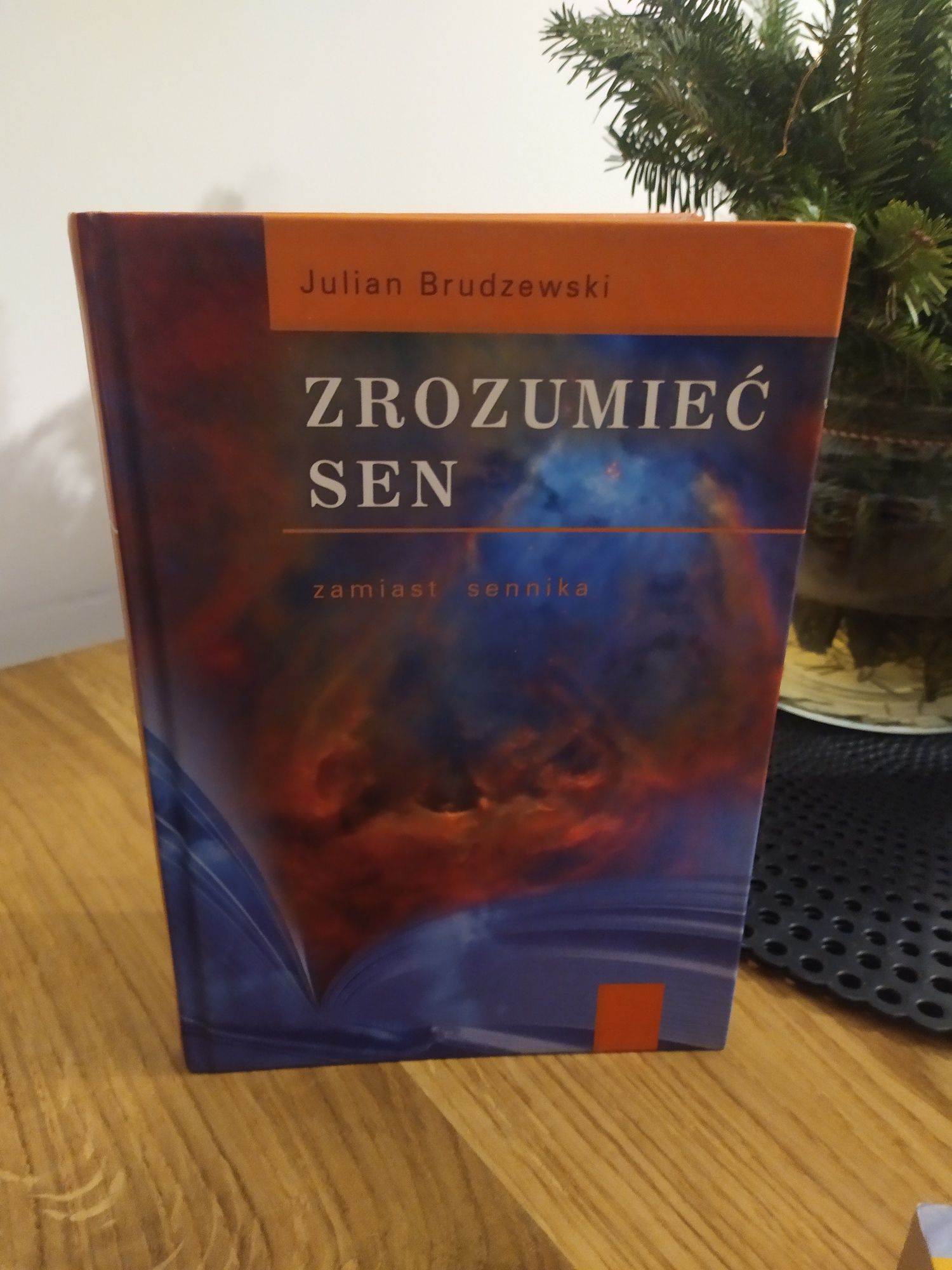 Książka Zrozumieć Sen