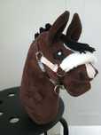 Hobby horse sport