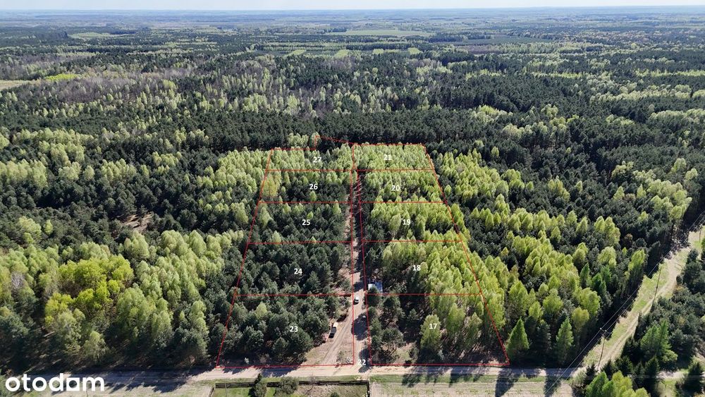 Rzadkość na rynku, leśna działka 2,5ha w miejscowości Kamień