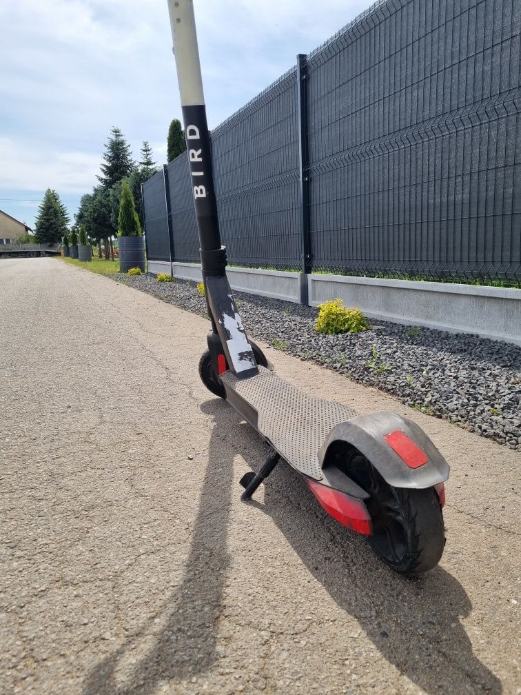 Hulajnoga Elektryczna Bird 30km/h, zasięg 28km