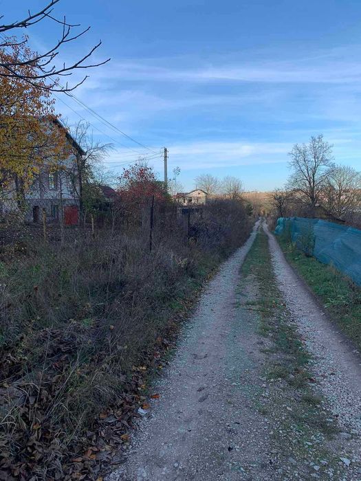 продаж ділянка Петрики біля лісу