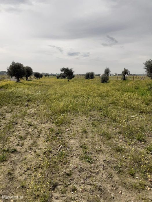 Terreno ás portas de Reguengos de Monsaraz