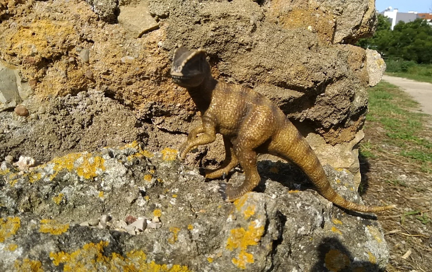 Dinossauros, réplicas 1