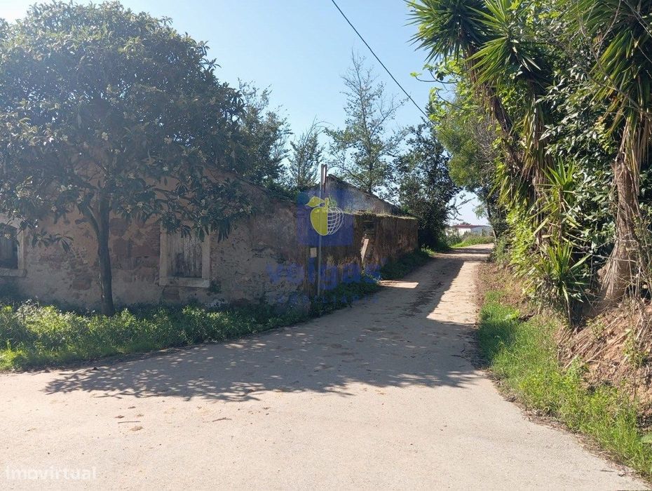 Ruina na Quinta do Bravo