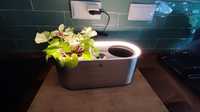 Vaso indoor para plantas ou ervas aromáticas AMBIENT - WMF