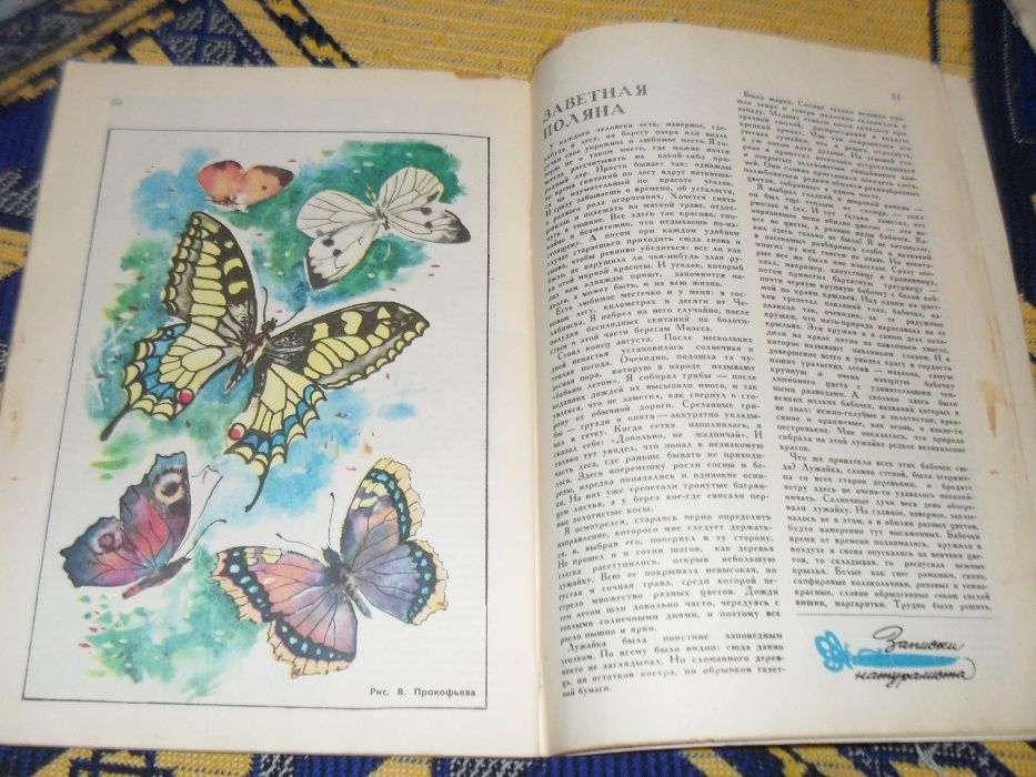 1977 г журнал "Юный натуралист" Советский СССР № 9 книжка книга