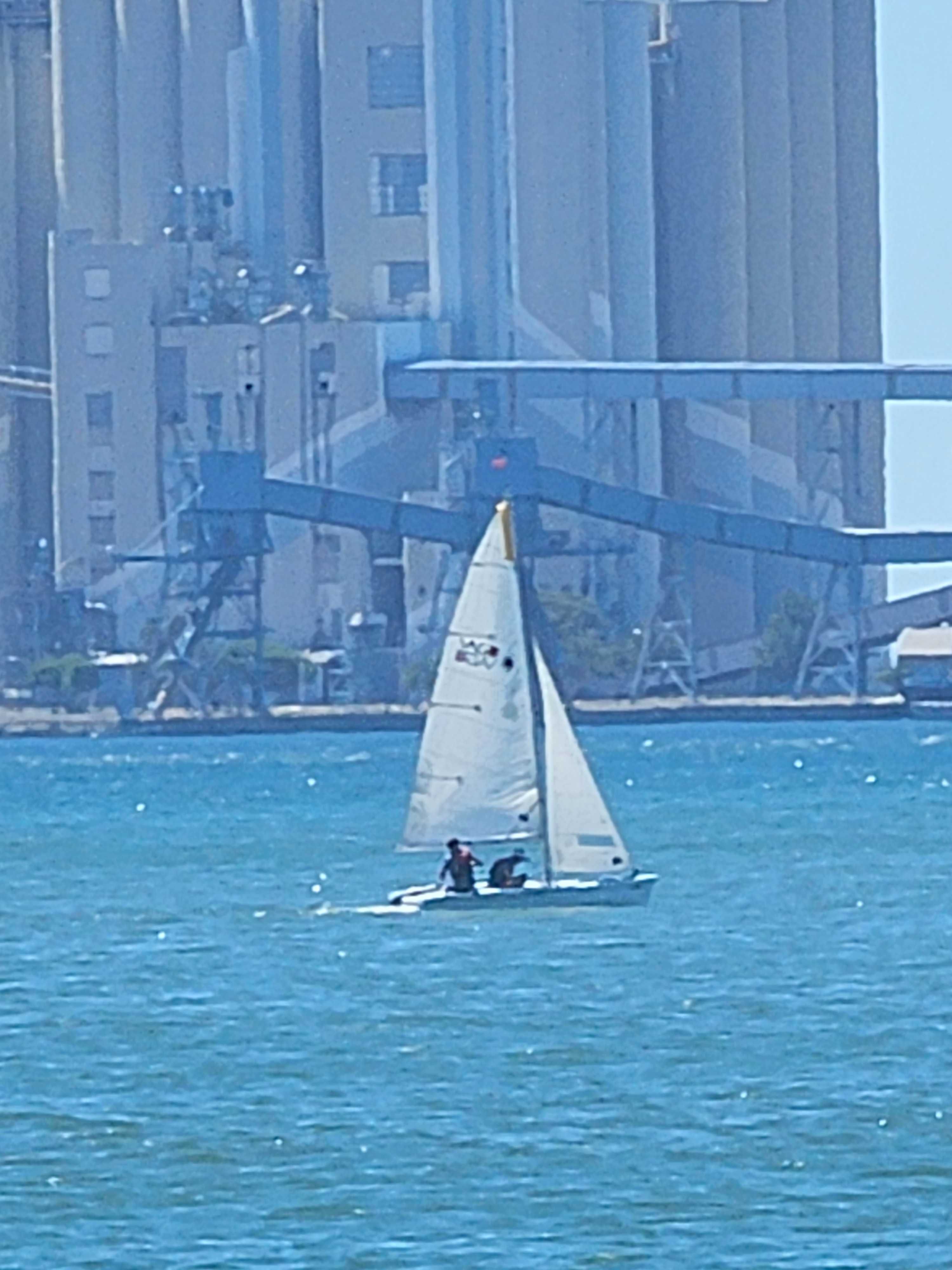 Barco a vela Laser Vago