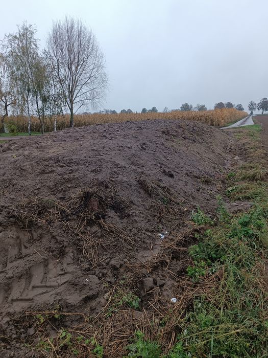 Kiszonka z kukurydzy