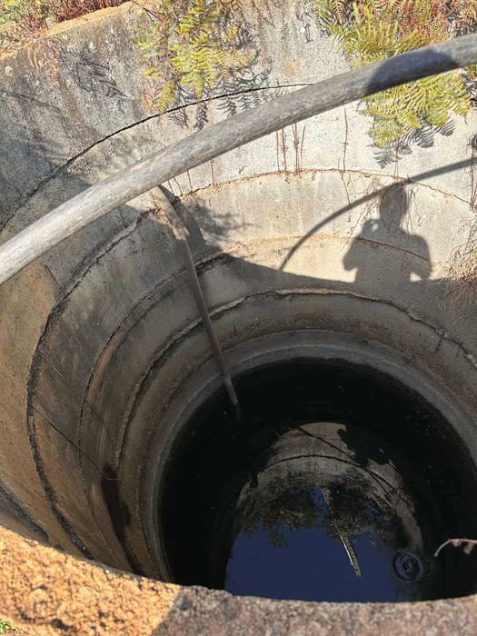 Quinta com 15 hectares