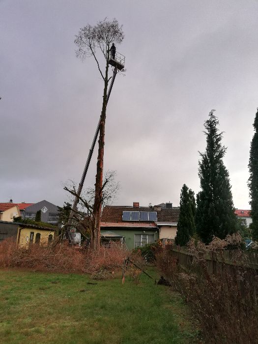 WYCINKA DRZEW frezowanie pni podnośnik koszowy 22m zwyżka rębak