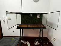 Terrário Giganterra com decoração de fundo